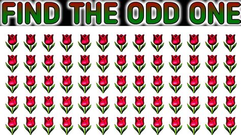 pick the odd one out kml prq|1.Pick the odd man out a) KML b) PRQ c) NPQ d) TVU.